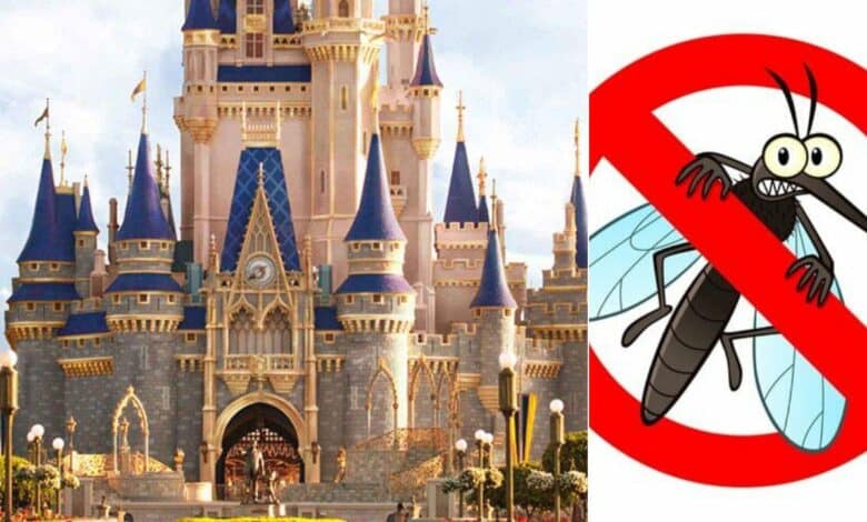 disney world zanzare