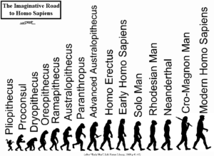 scala evolutiva uomo