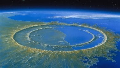 il cratere circolare dell'asteroide chicxulub che estinse i dinosauri