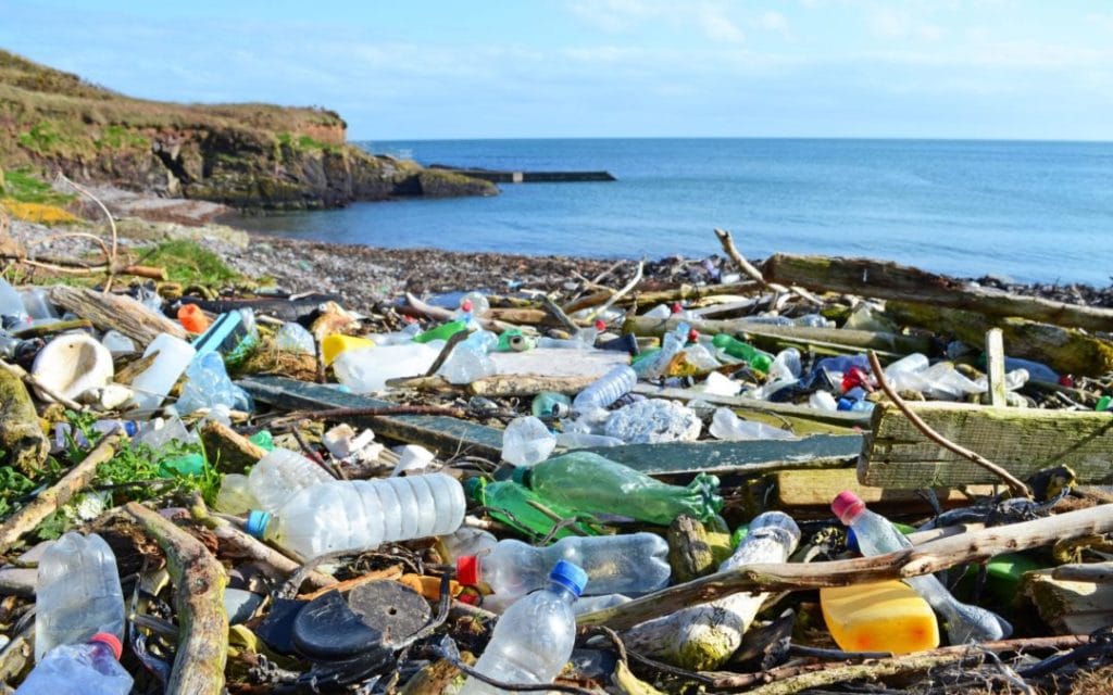 rifiuti spiaggia