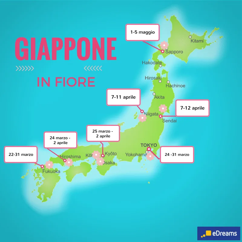 mappa giappone in fiore