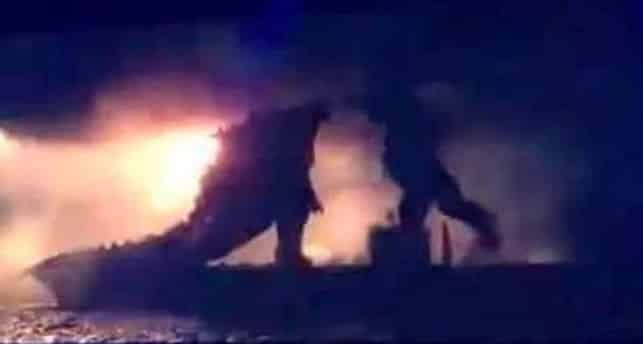 godzilla vs kong