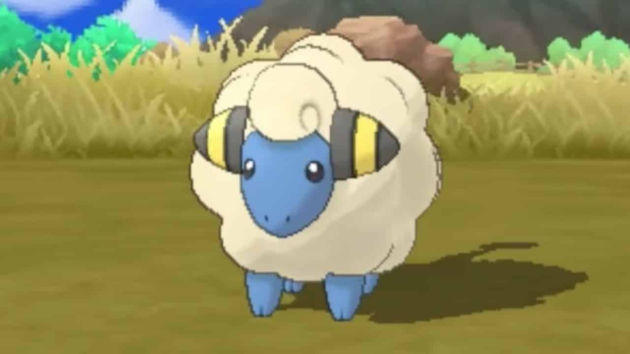 mareep