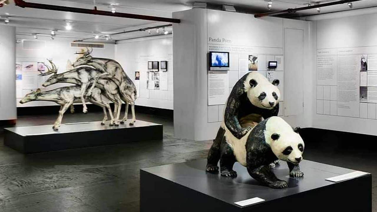 musei strani