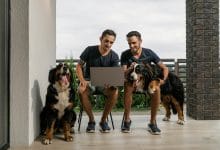 cani assomigliano ai padroni