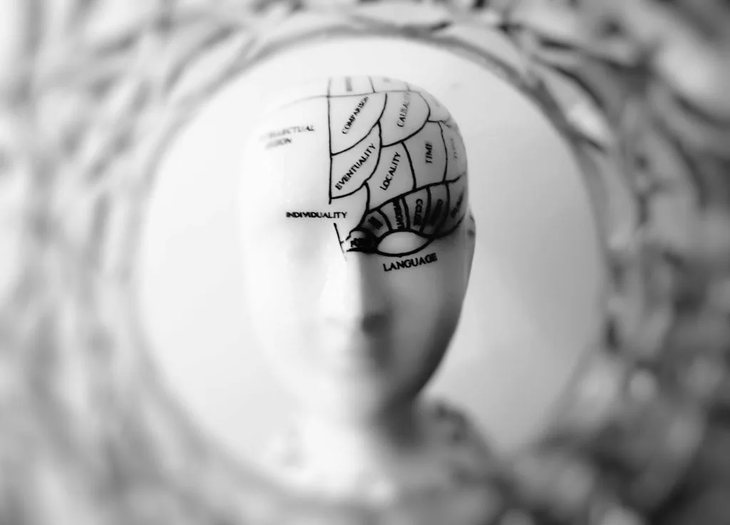 Der menschliche Geist, Verzerrung der Interpretationen