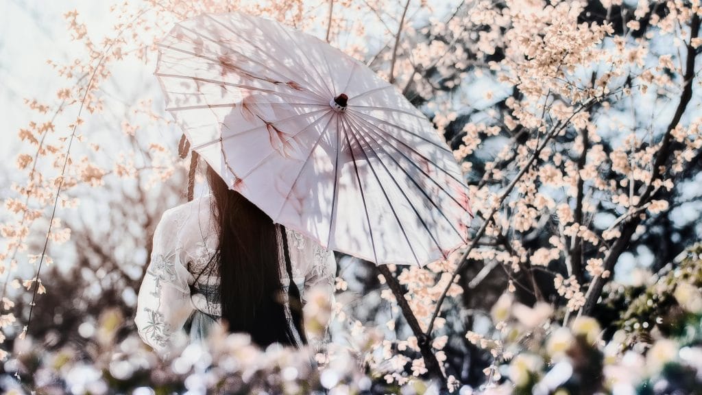 une femme japonaise immergée dans les fleurs de cerisier