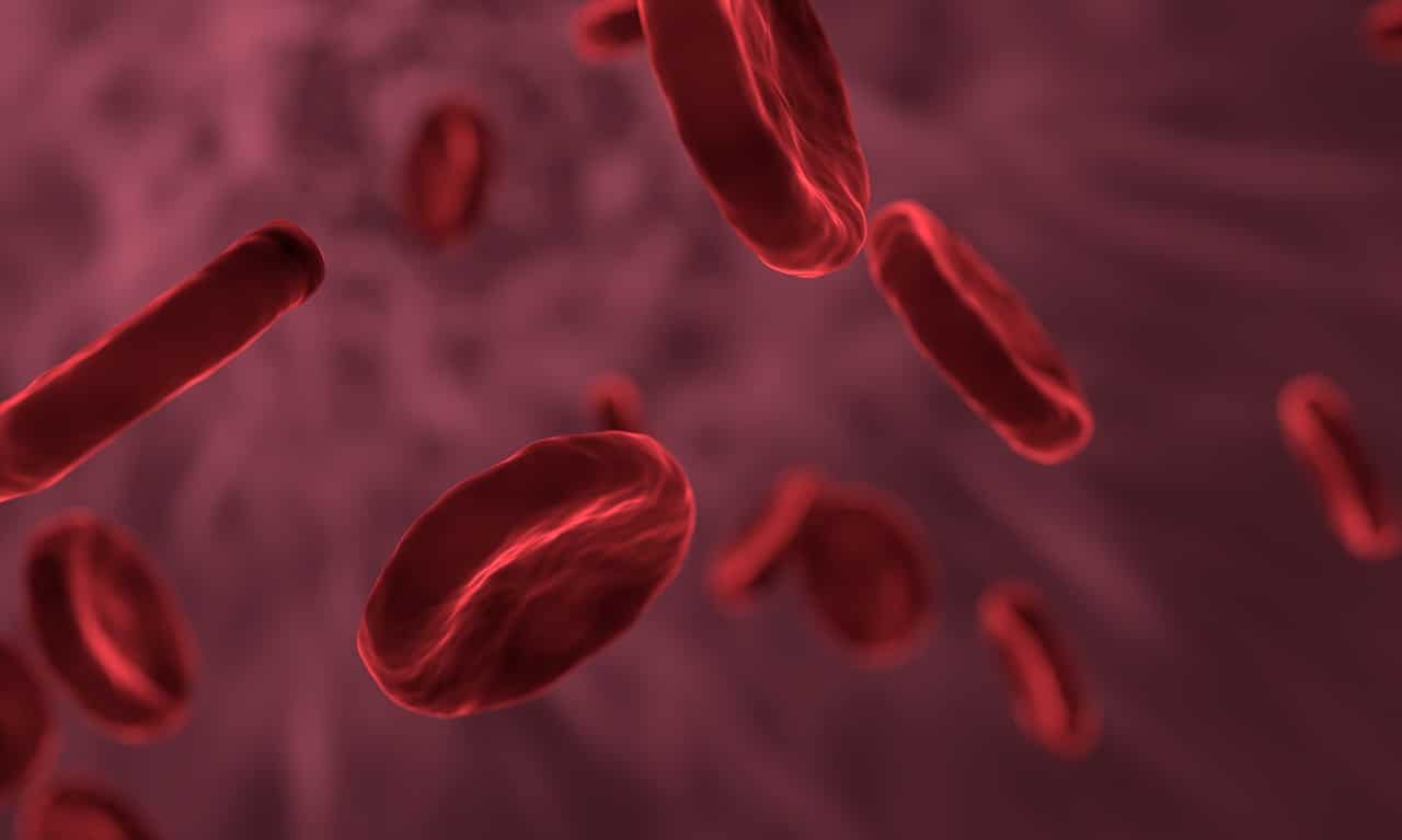 trasfusioni di sangue creato in laboratorio