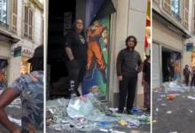 goku di nizza