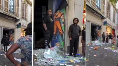 goku di nizza