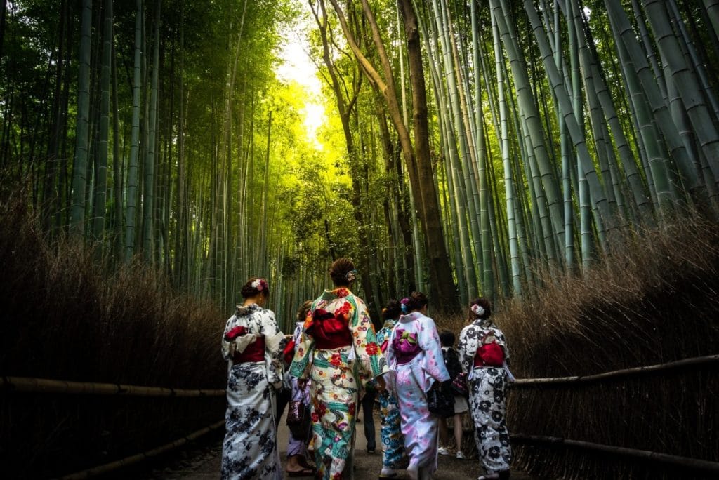 un gruppo di donne con kimono tipico giapponese che camminano in mezzo ad una foresta di arbusti che sembrano bambu