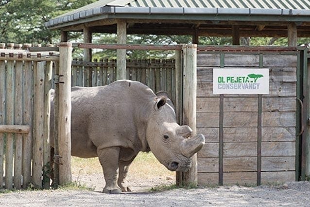 Sudan