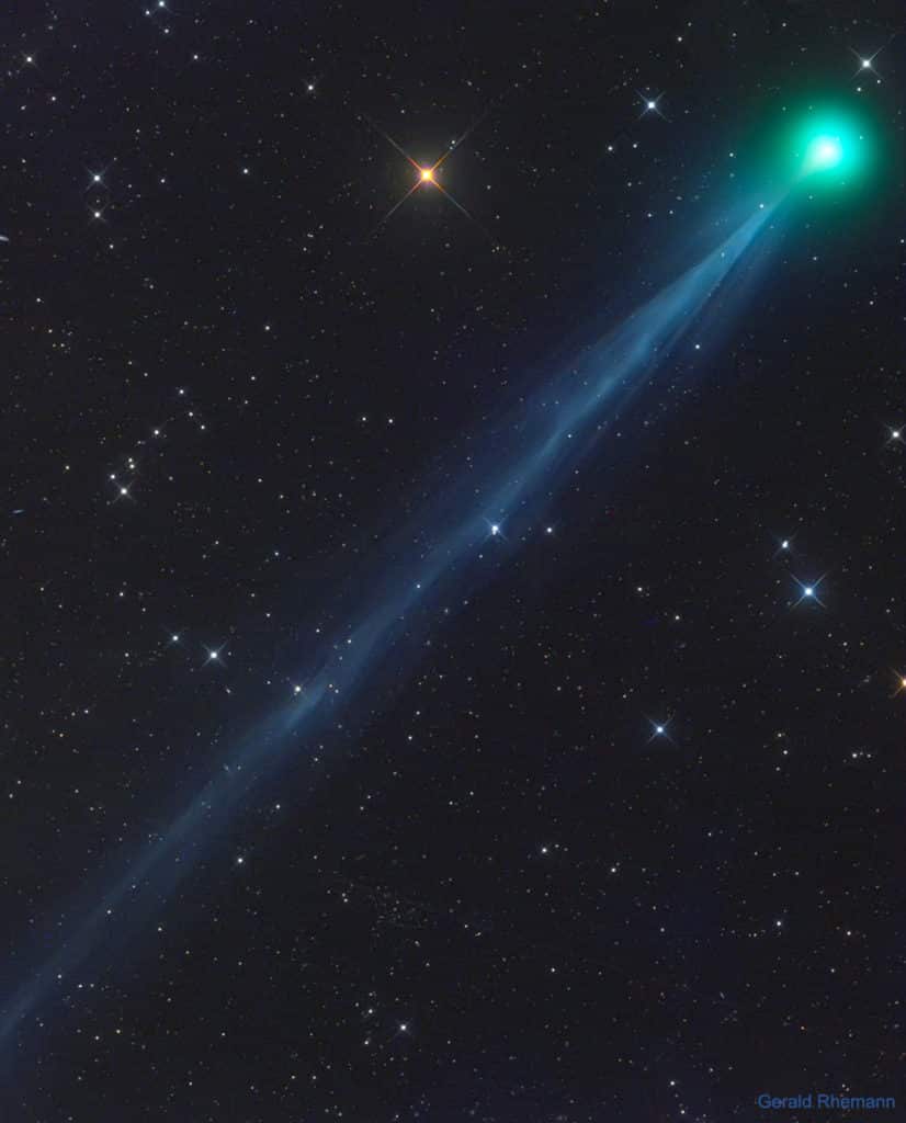 cometa swan