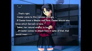 fate/ stay night visual novel