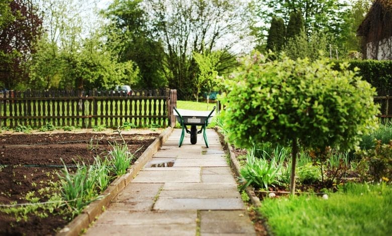 un orto domestico con una carriola sul suo sentiero principale