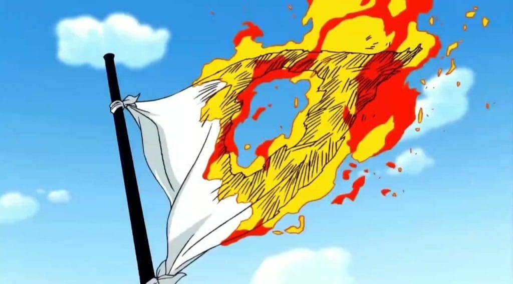 bandiera del governo mondiale di one piece bruciata